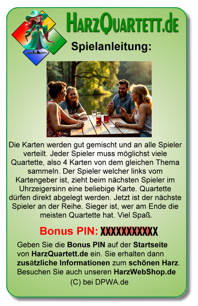 Harz Quartett Spiel mit Pin Doppelpack – Bild 2