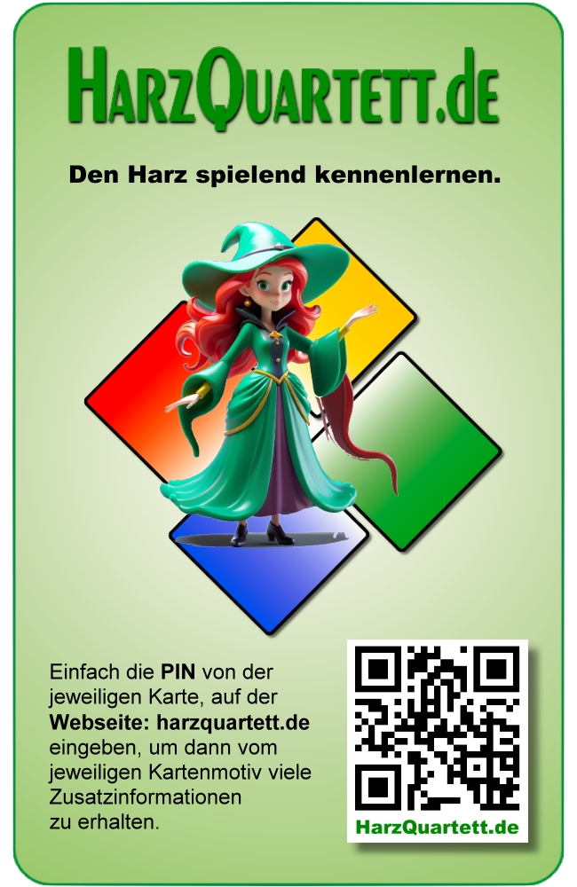 Harz Quartett Spiel mit Pin Doppelpack – Bild 6