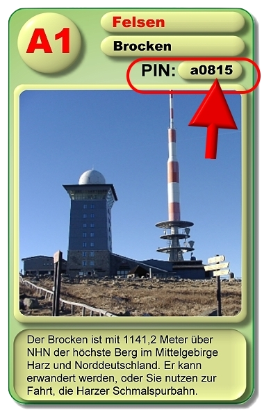 Harz Quartett Spiel mit Pin Doppelpack – Bild 8